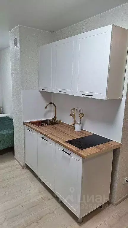 Студия Москва, Москва, Зеленоград к814 (20.1 м) - Фото 0