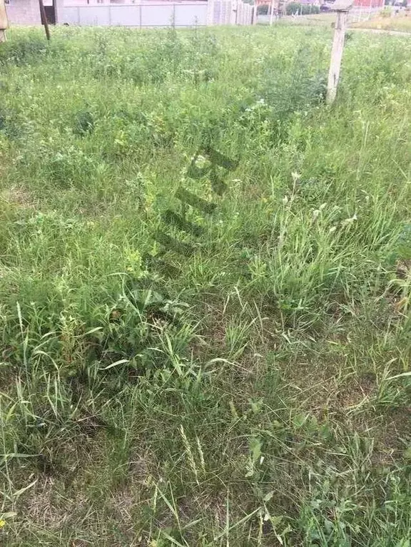 Участок в Белгородская область, Белгородский район, Дубовское с/пос, ... - Фото 0