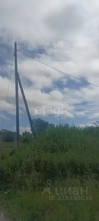 Участок в Сахалинская область, Долинский городской округ, с. Сокол ул. ... - Фото 1