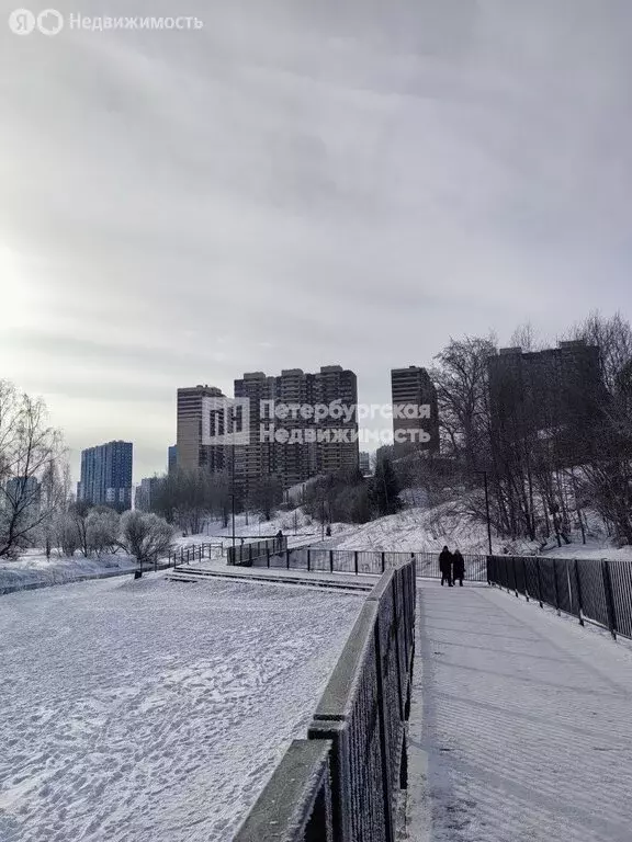 1-комнатная квартира: Мурино, Новая улица, 15 (34.8 м) - Фото 2