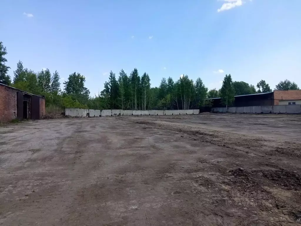 Помещение свободного назначения в Новосибирская область, Новосибирск ... - Фото 1