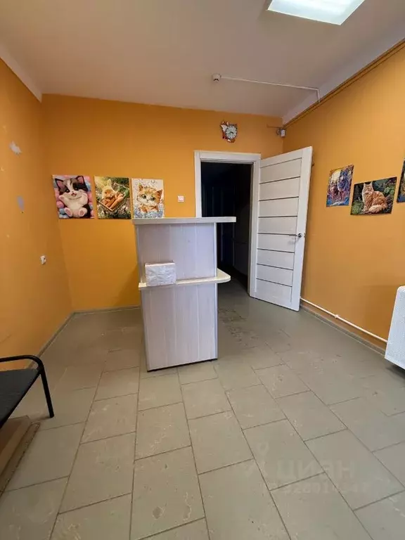 Помещение свободного назначения в Воронежская область, Воронеж ул. ... - Фото 2