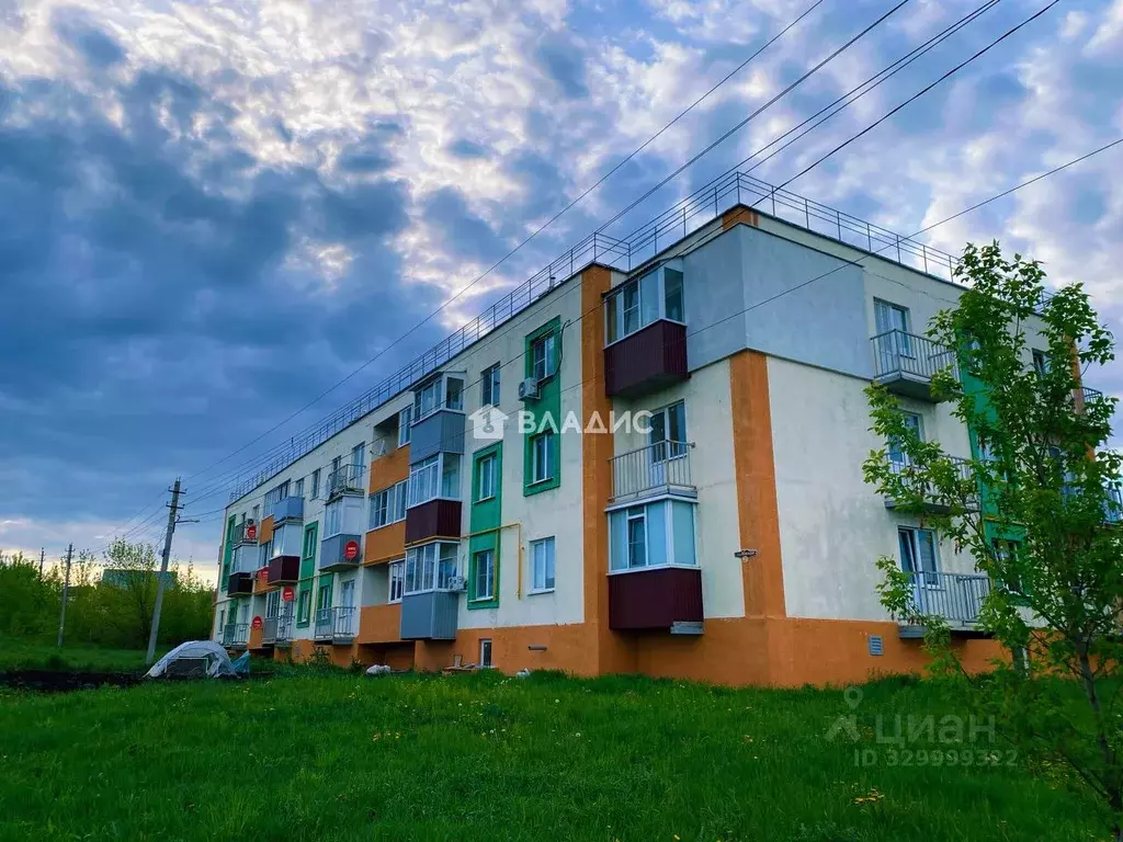 1-к кв. Пензенская область, с. Бессоновка ул. Южная, 2А (35.8 м) - Фото 1