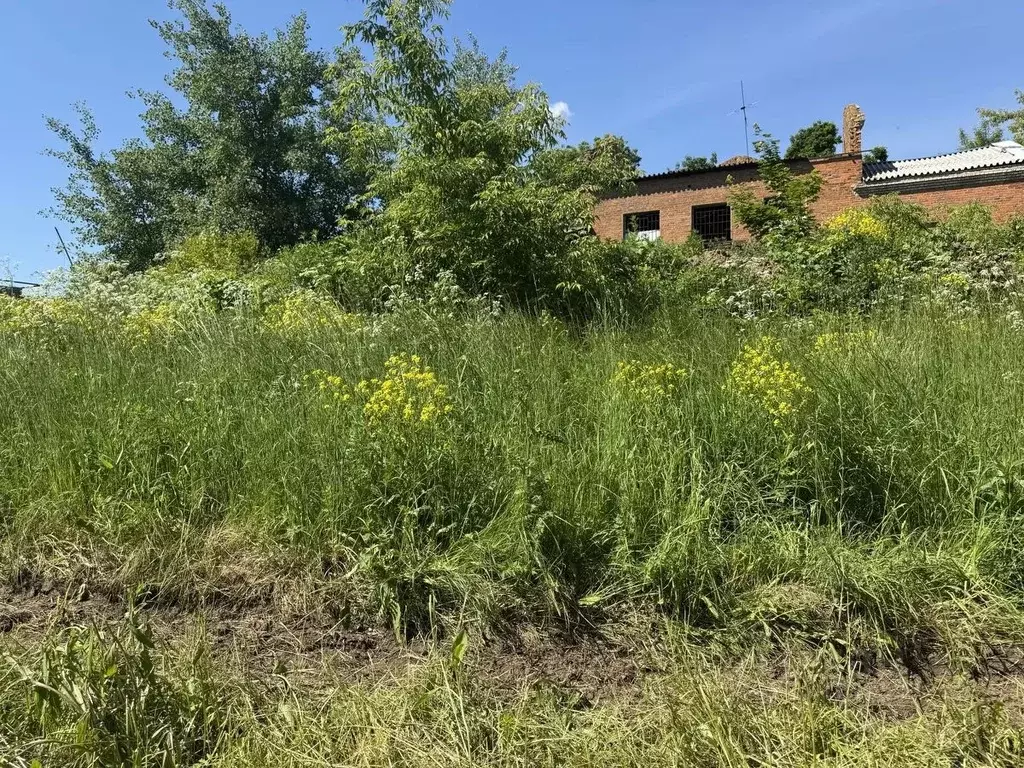 Участок в Московская область, Воскресенск городской округ, с. Сабурово ... - Фото 1