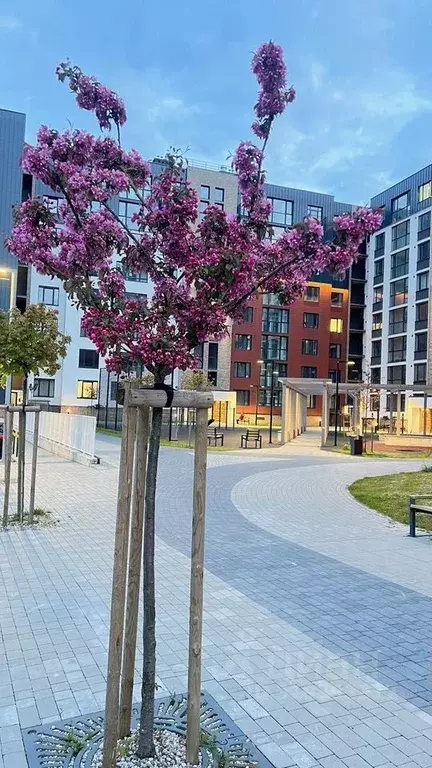 1-к кв. Калининградская область, Калининград ул. Куйбышева, 84 (45.0 ... - Фото 2