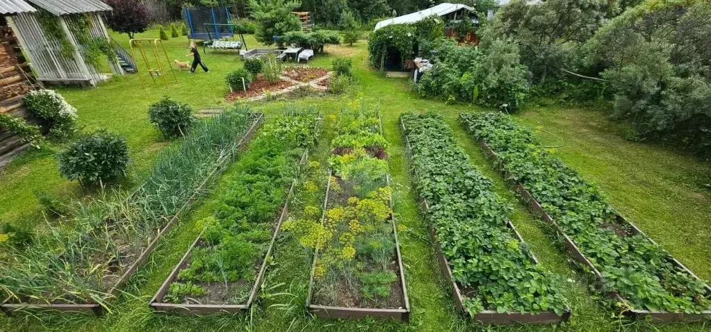 Дом в Свердловская область, Белоярский муниципальный округ, Родник СНТ ... - Фото 0