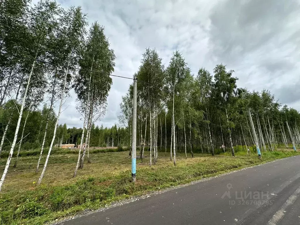 Участок в Московская область, Домодедово городской округ, с. Никитское ... - Фото 1