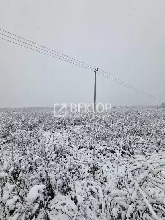 Участок в Ивановская область, Ивановский район, Беляницкое с/пос, д. ... - Фото 2