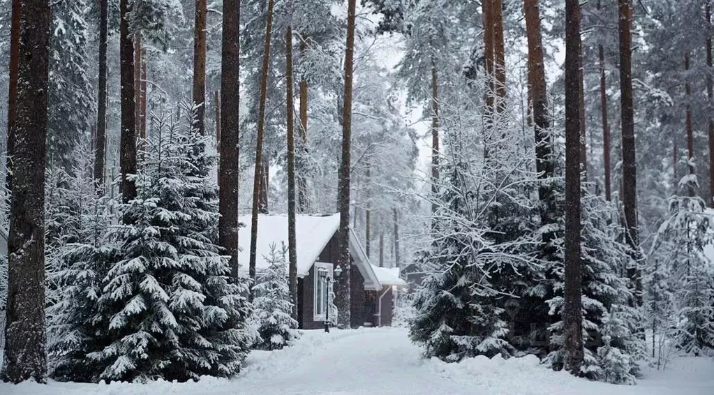 Дом в Ленинградская область, Выборгский район, Рощино пгт ул. ... - Фото 2