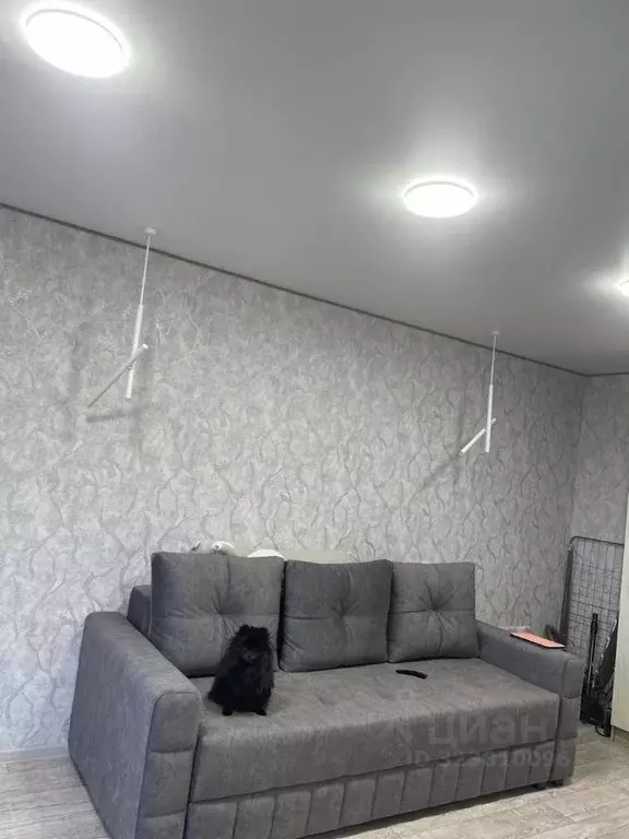 1-к кв. Алтайский край, Бийск Советская ул., 199/6 (31.8 м) - Фото 2