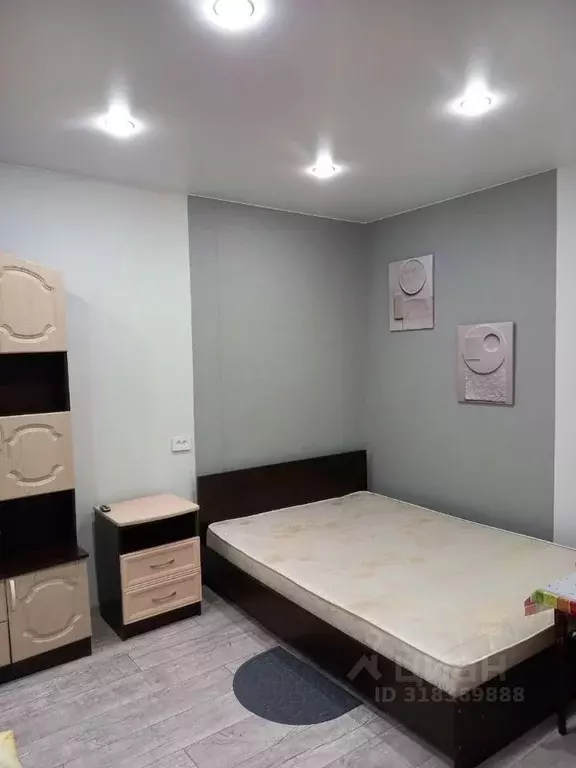 1-к кв. Новосибирская область, Новосибирск ул. Блюхера, 53 (30.0 м) - Фото 0