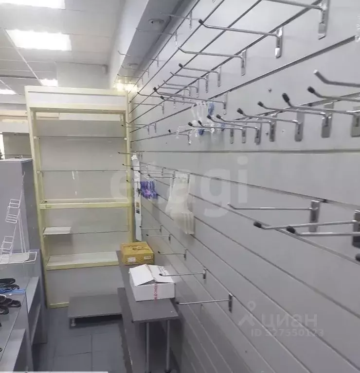 Торговая площадь в Свердловская область, Нижний Тагил просп. ... - Фото 2