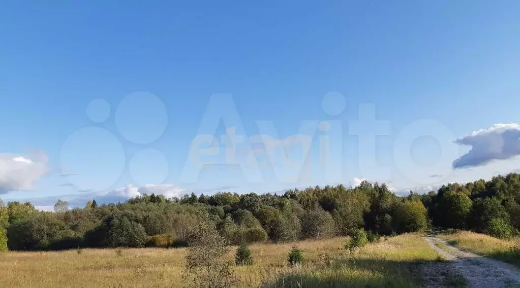 Участок 6 сот. (ИЖС) - Фото 1