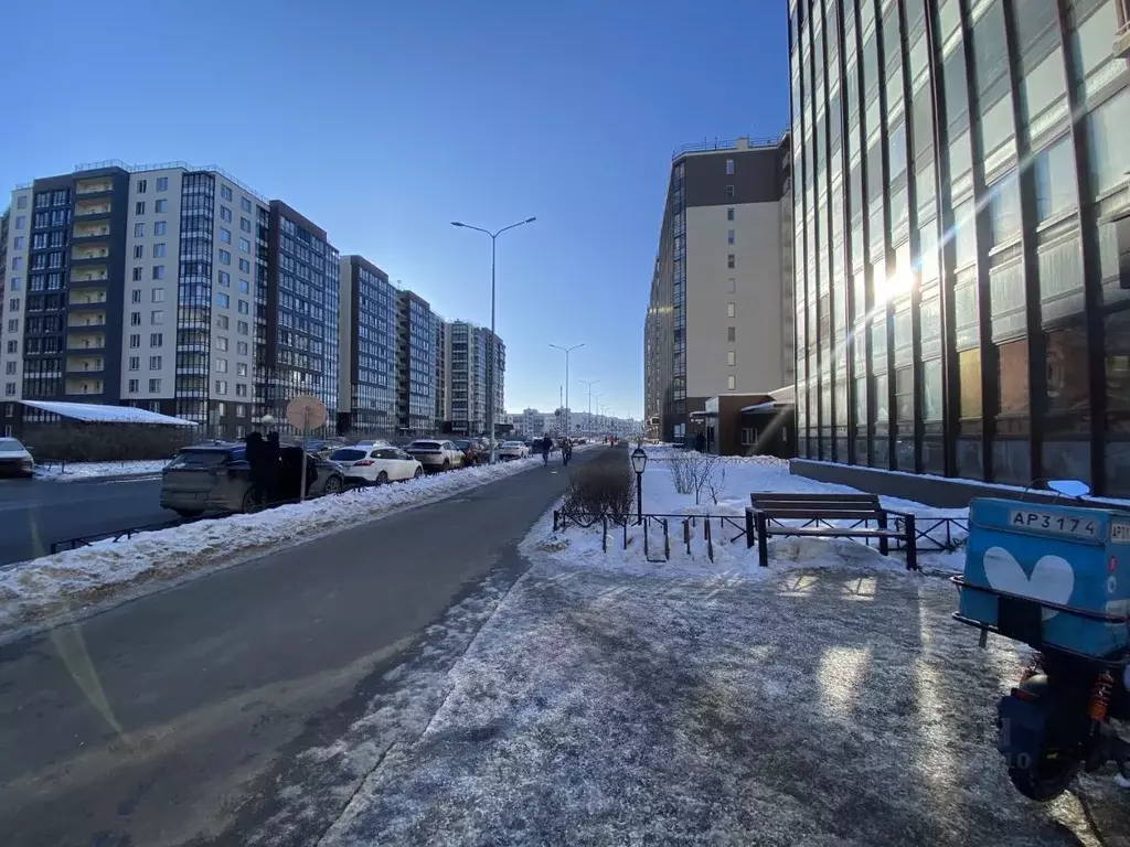 Студия Санкт-Петербург просп. Ветеранов, 171к2 (24.5 м) - Фото 1