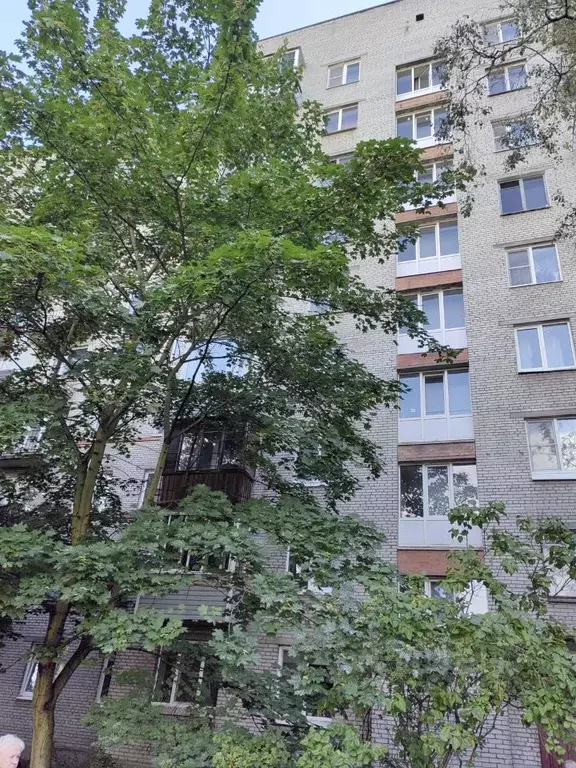 1-к кв. Санкт-Петербург просп. Ветеранов, 152К1 (33.6 м) - Фото 1