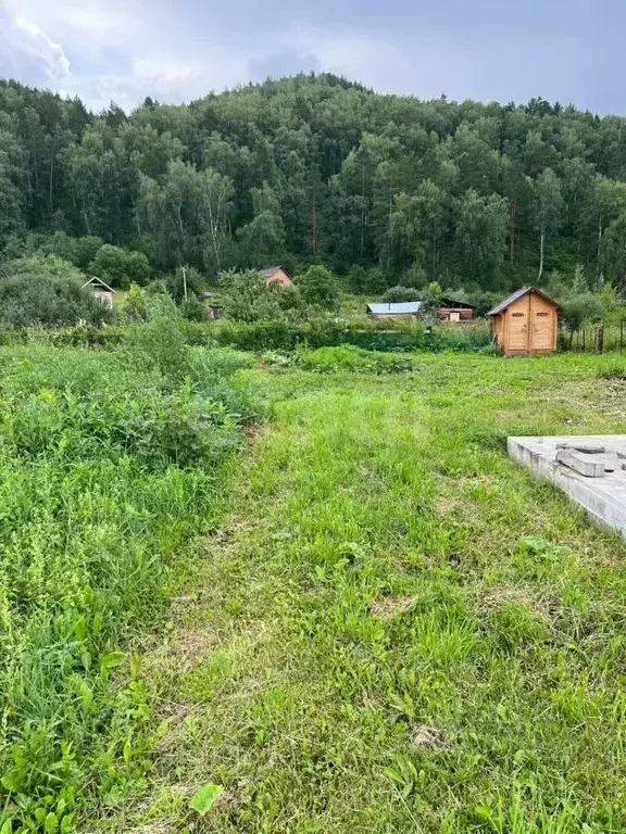 Участок в Алтай, Майминский район, с. Соузга Лесная ул. (18.0 сот.) - Фото 1