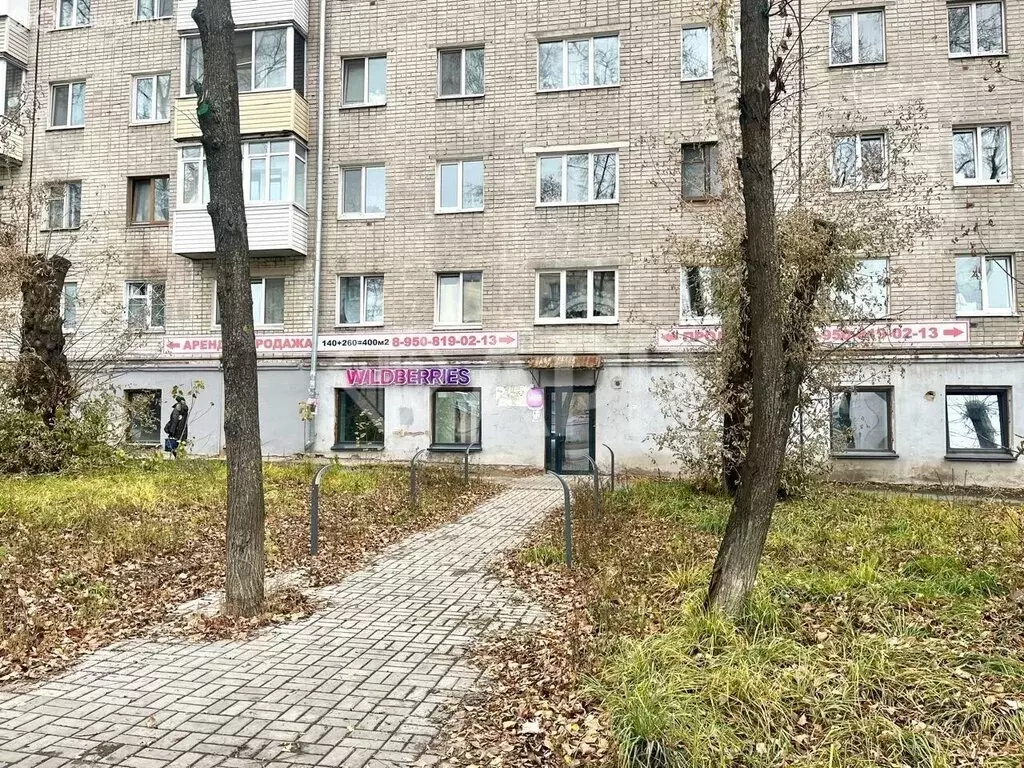 Помещение свободного назначения (274 м) - Фото 1