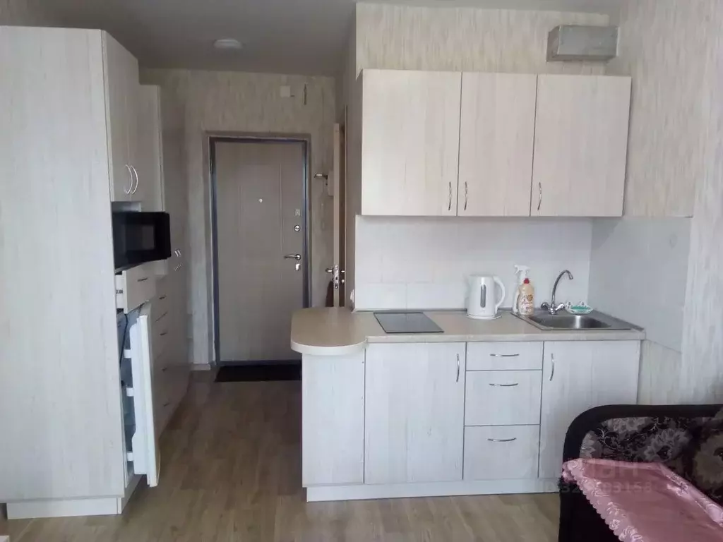 Студия Новосибирская область, Новосибирск Спортивная ул., 29 (22.0 м) - Фото 1