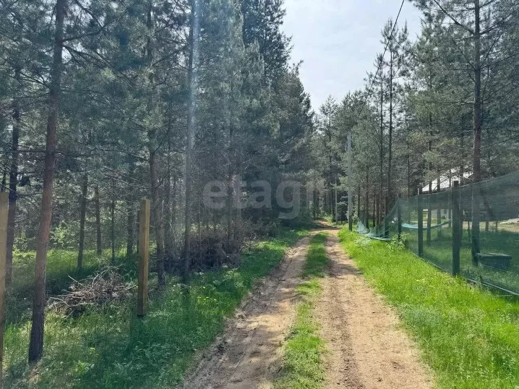 Участок в Тверская область, Кимрский муниципальный округ, д. Топорок ... - Фото 1