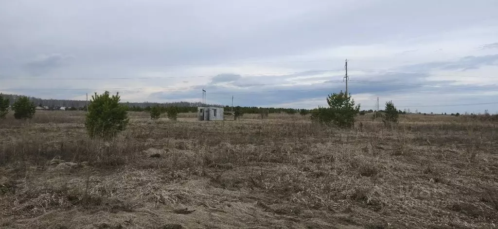 Участок в Челябинская область, Сосновский муниципальный округ, с. ... - Фото 1