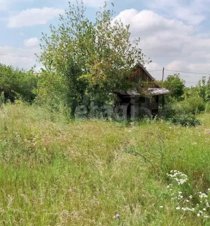 Участок 6,2 сот. (СНТ, ДНП) - Фото 0