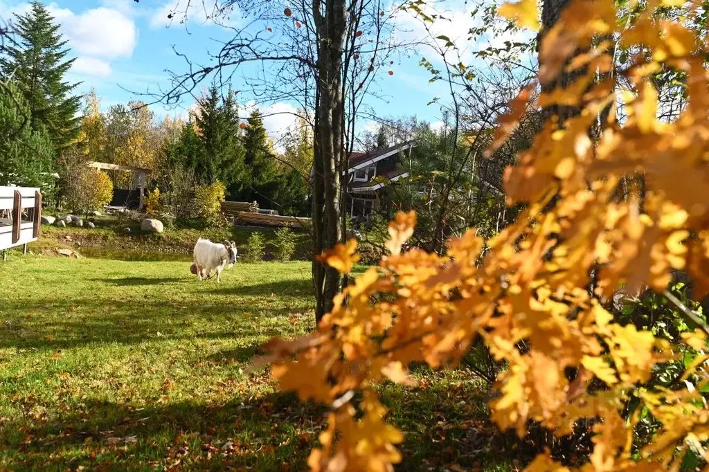 Дом в Ленинградская область, Выборгский район, Красносельское с/пос, ... - Фото 2