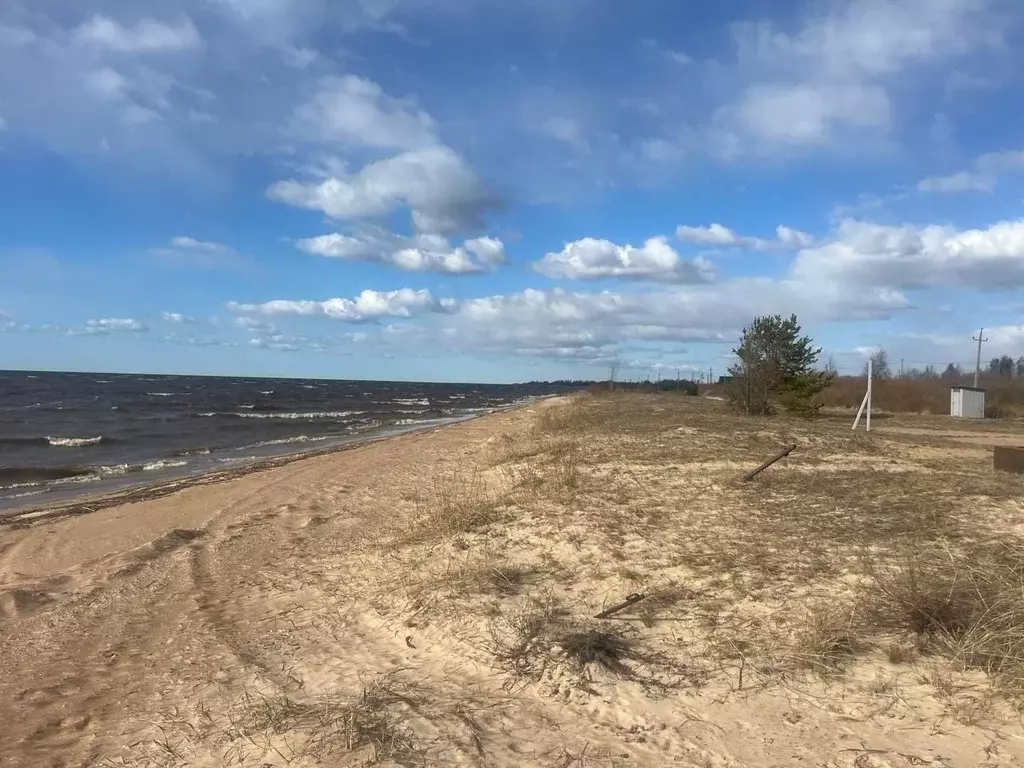 Дом в Псковская область, Гдовский район, Юшкинская волость, д. ... - Фото 0