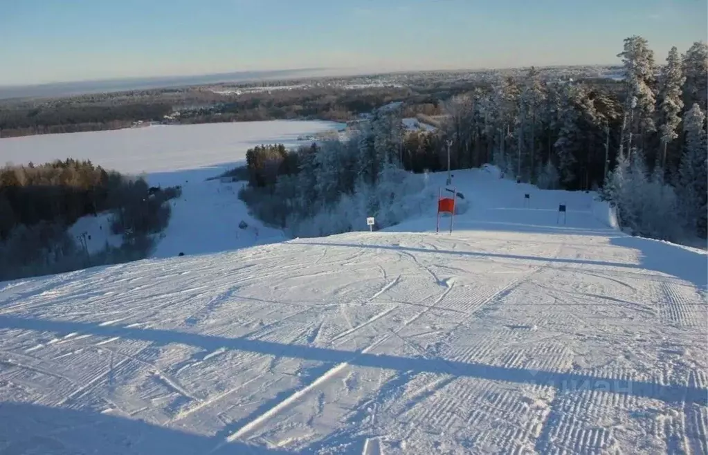 Участок в Ленинградская область, Выборгский район, Рощинское городское ... - Фото 1