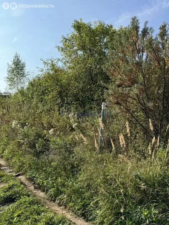 Участок в Нижегородская область, Богородский муниципальный округ, ... - Фото 0