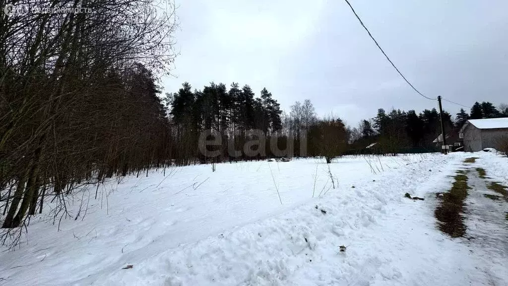 Участок в Приозерский район, Раздольевское сельское поселение, деревня ... - Фото 1