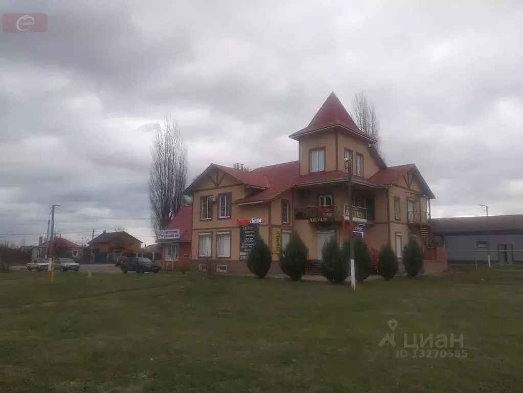 Торговая площадь в Воронежская область, с. Новая Усмань ул. ... - Фото 0