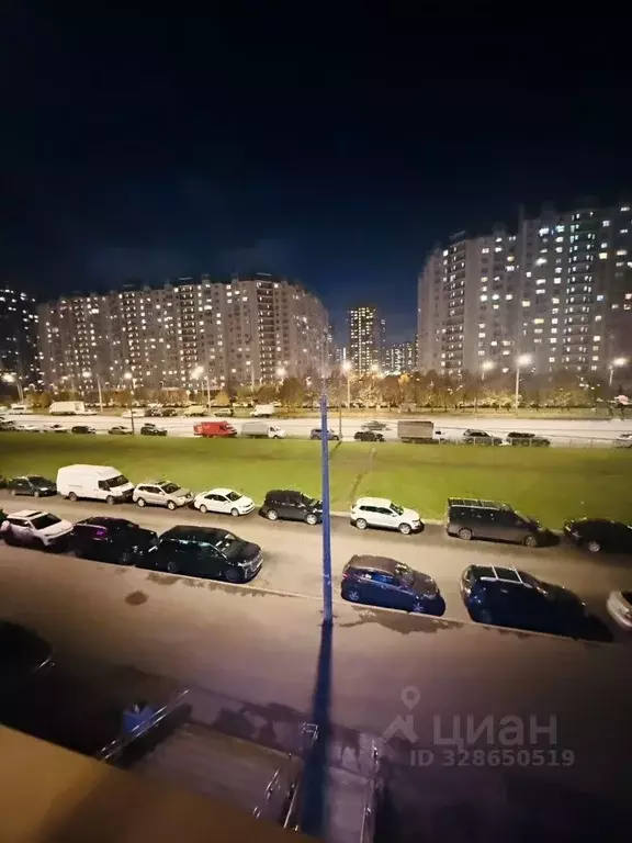 1-к кв. Санкт-Петербург Богатырский просп., 51к1 (24.0 м) - Фото 1