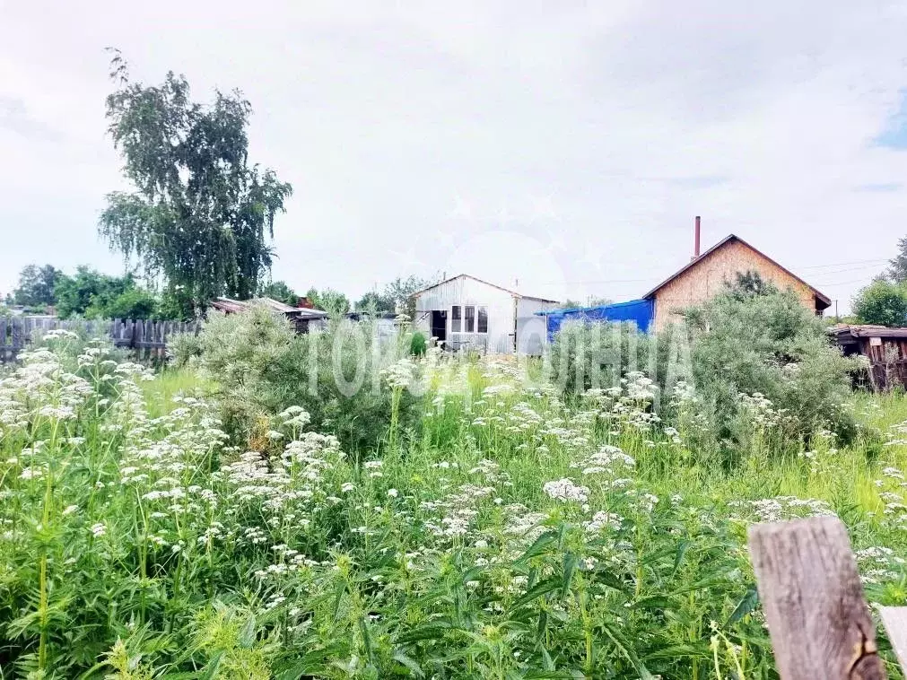 Дом в Омская область, Омск Деревообработчик СНТ, 138 (10 м) - Фото 0