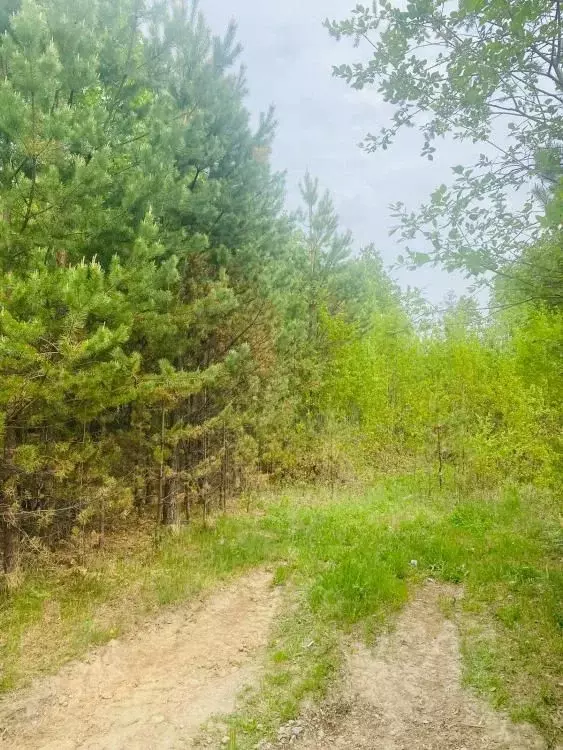 Участок в Иркутская область, Иркутск  (995.0 сот.) - Фото 1