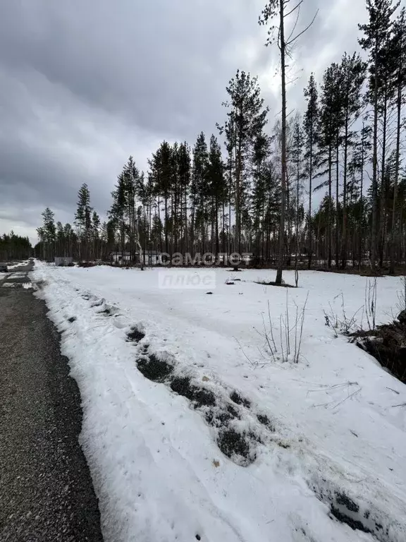 Участок в Свердловская область, Екатеринбург Седьмая Дача кп,  (10.0 ... - Фото 1