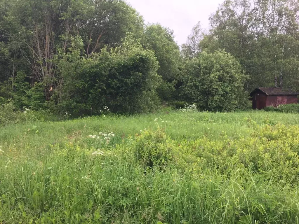 Участок в Московская область, Пушкинский городской округ, д. Горенки  ... - Фото 0