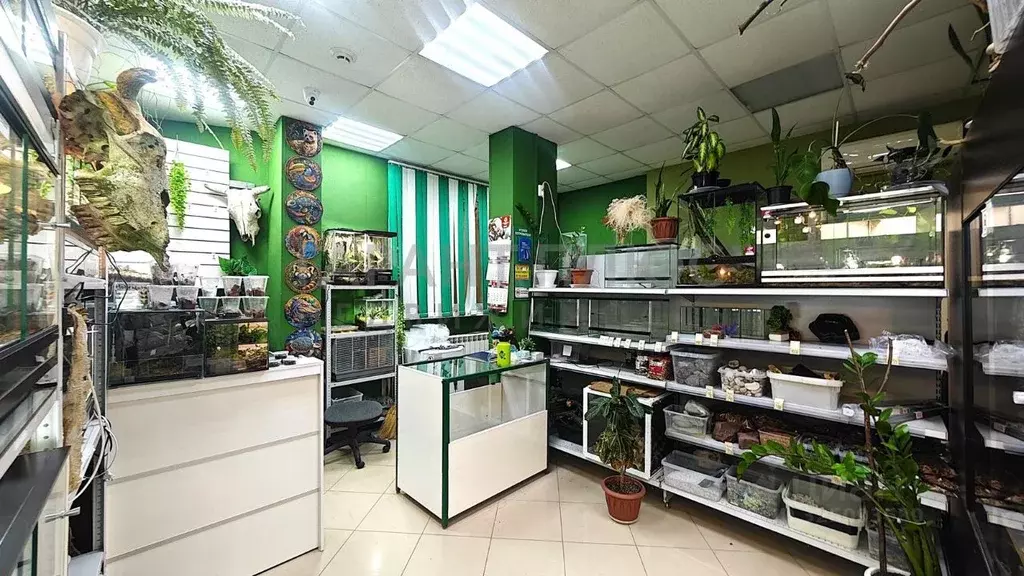 Помещение свободного назначения в Липецкая область, Липецк просп. ... - Фото 1