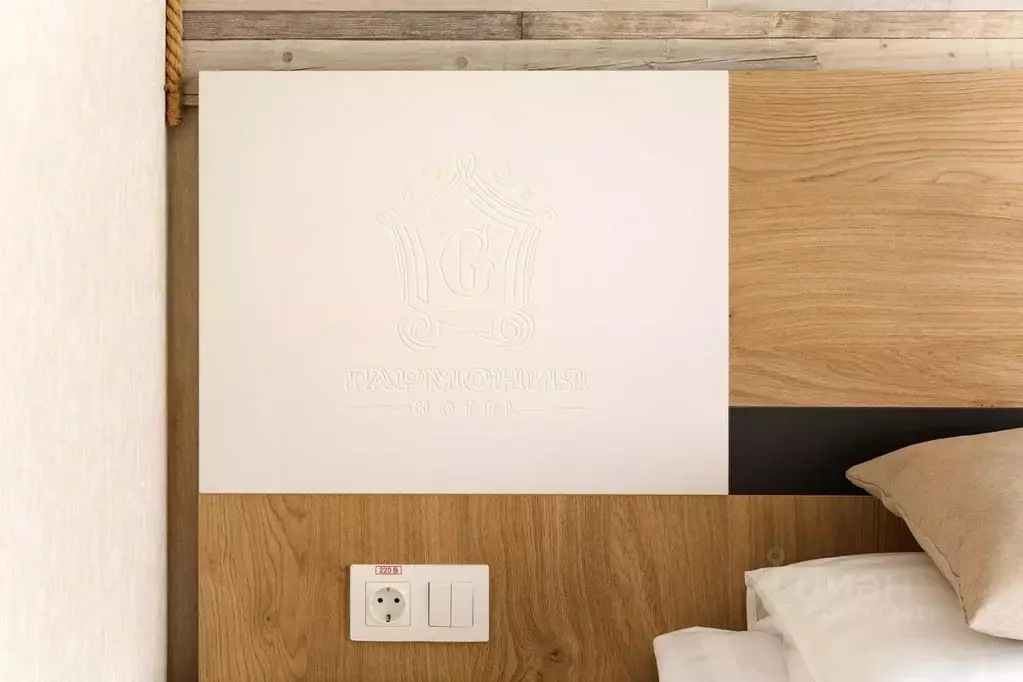 Комната Московская область, Луховицы ул. Пушкина, 192Г (22.0 м) - Фото 2