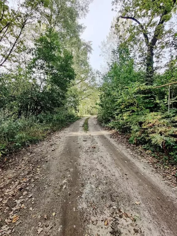 Участок в Пензенская область, Пензенский район, Засечный сельсовет, ... - Фото 2