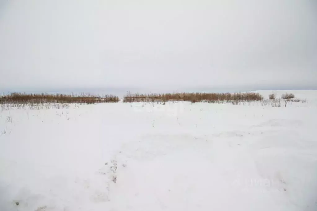Участок в Ханты-Мансийский АО, Сургут  (7.5 сот.) - Фото 1