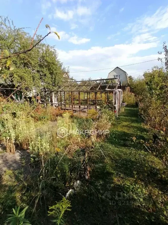 Участок в Брянская область, Брянский район, Новодарковичское с/пос, ... - Фото 1