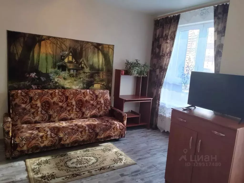 Студия Санкт-Петербург ул. Русановская, 20к1 (27.0 м) - Фото 2