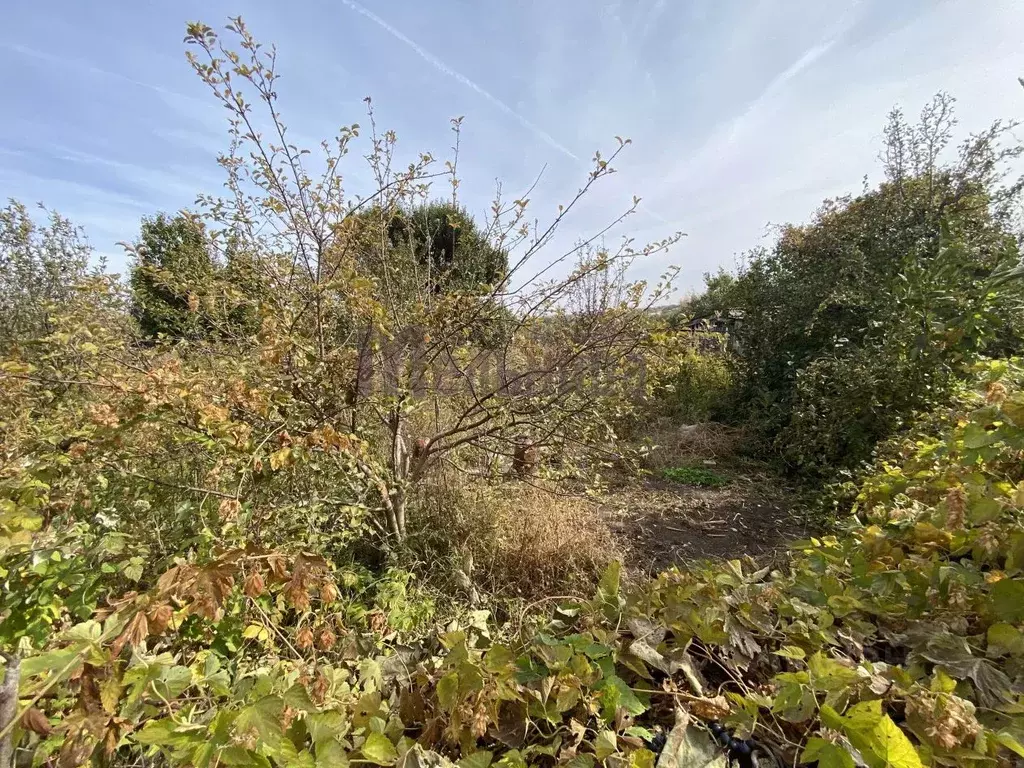 Участок в Волгоградская область, Волгоград Волжанин СНТ, 33 (6.0 сот.) - Фото 1