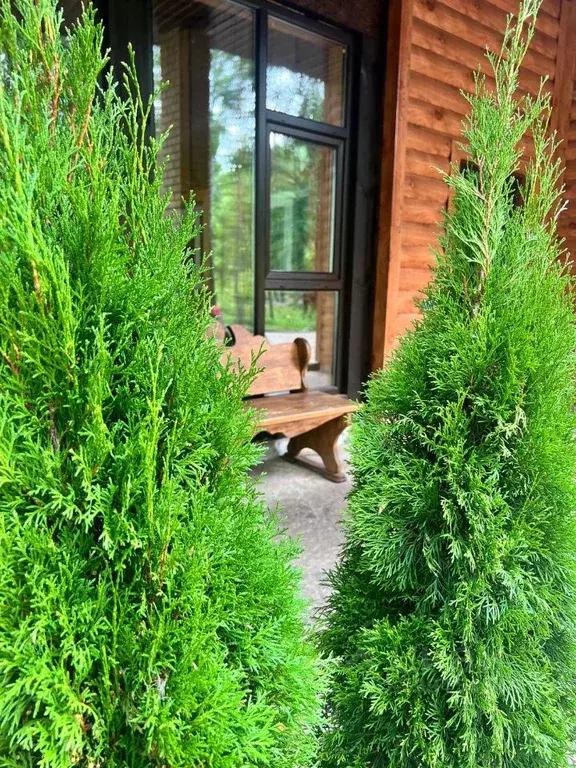 Дом в Свердловская область, Верхняя Пышма городской округ, с. Балтым ... - Фото 2