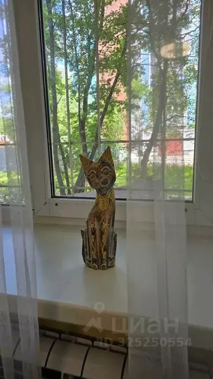 Комната Мурманская область, Мурманск ул. Генерала Журбы, 10 - Фото 1