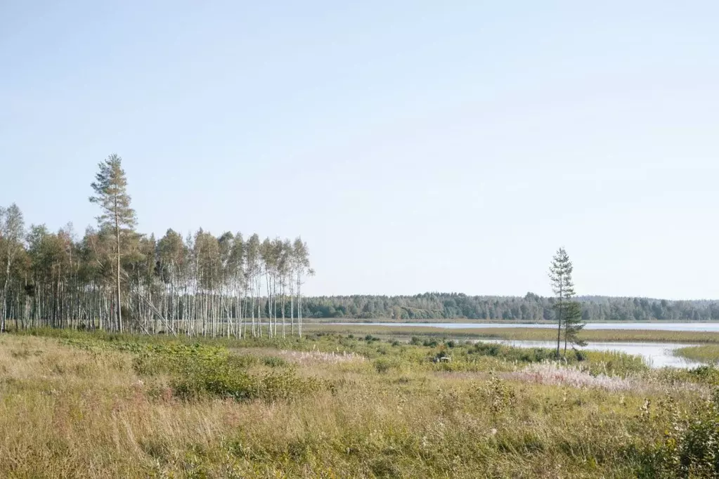 Участок в Ленинградская область, Выборгский район, Полянское с/пос, ... - Фото 1