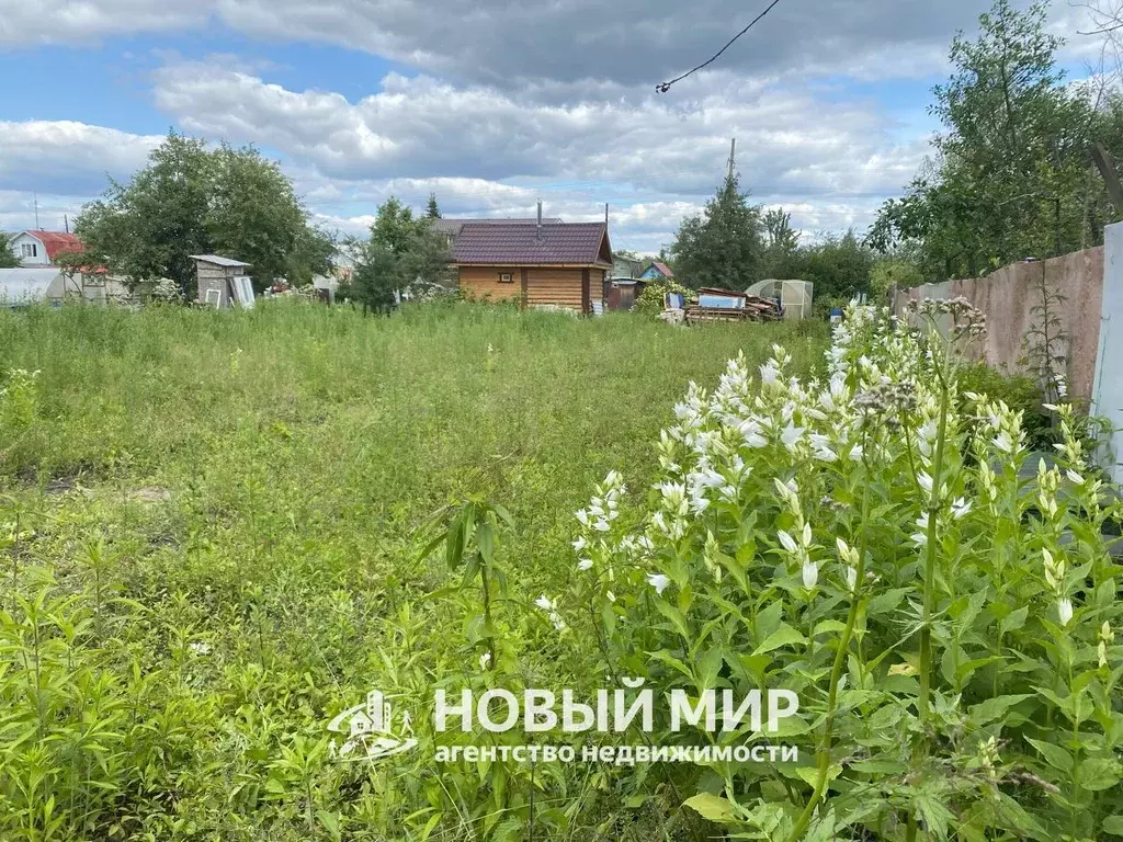 Участок в Нижегородская область, Бор Волжские Зори СНТ, 98 (5.4 сот.) - Фото 0