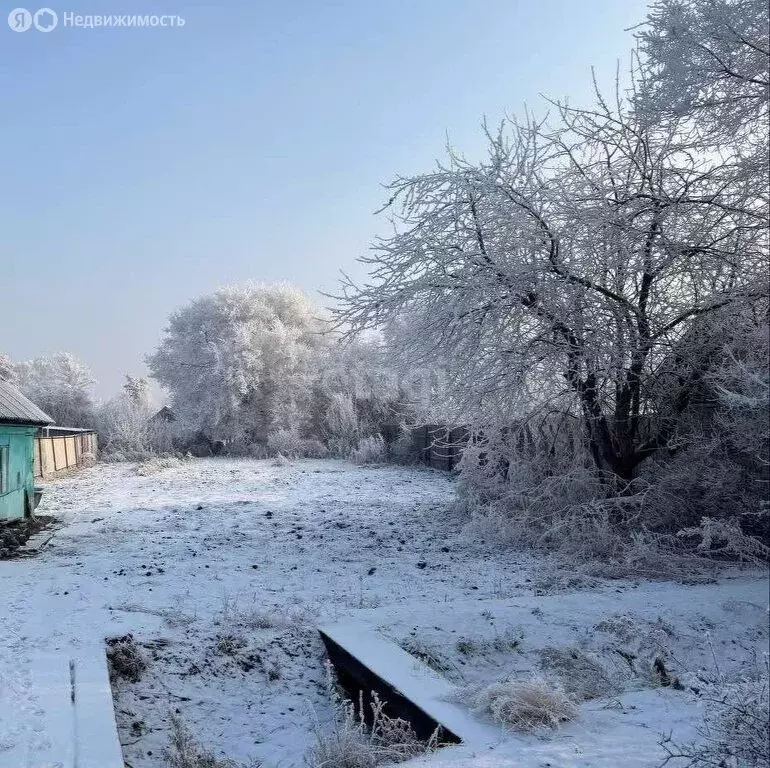 Участок в Черногорск, садоводческое некоммерческое товарищество район ... - Фото 0