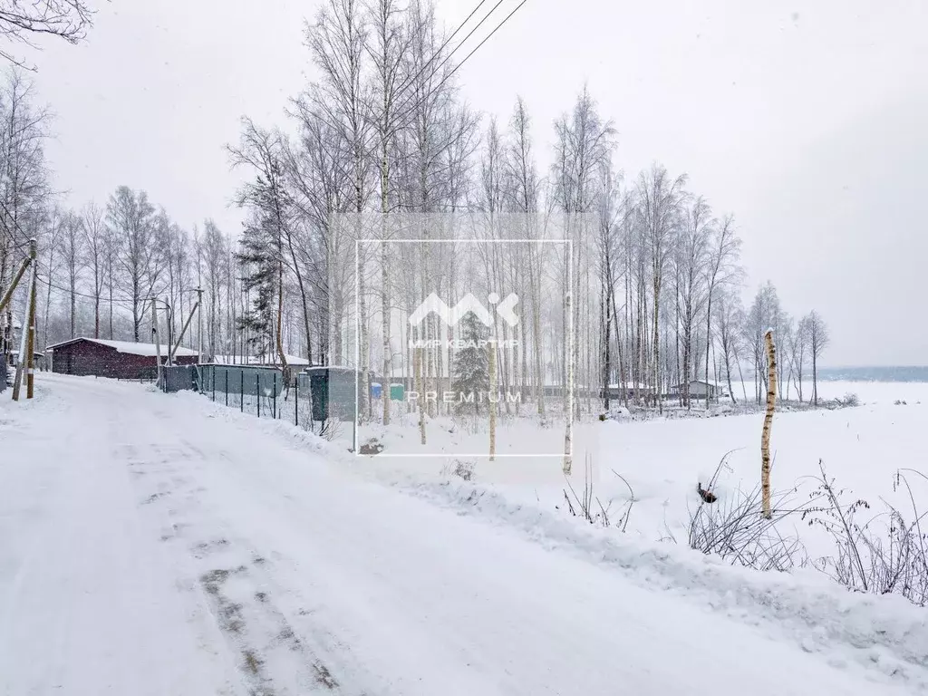 Участок в Ленинградская область, Выборгский район, Полянское с/пос, ... - Фото 1