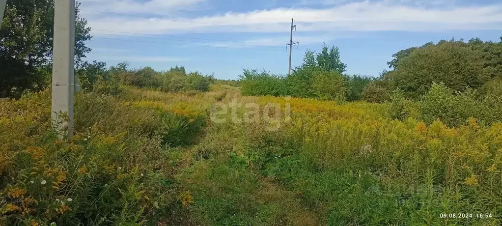 участок в калининградская область, зеленоградский муниципальный округ, . - Фото 1